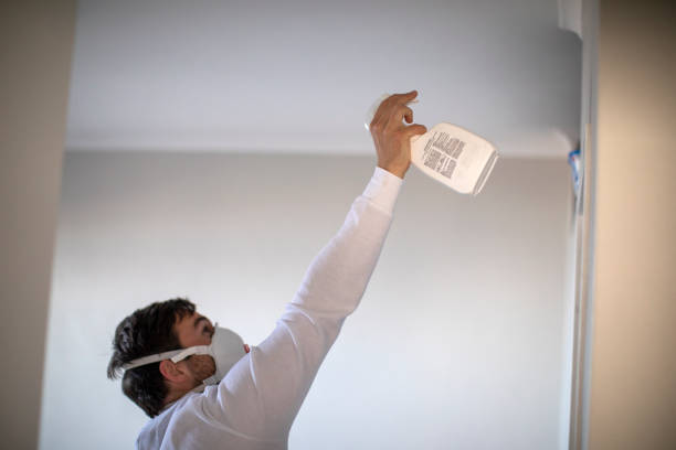 Reliable Cambridge, IL Mold Remediation Solutions