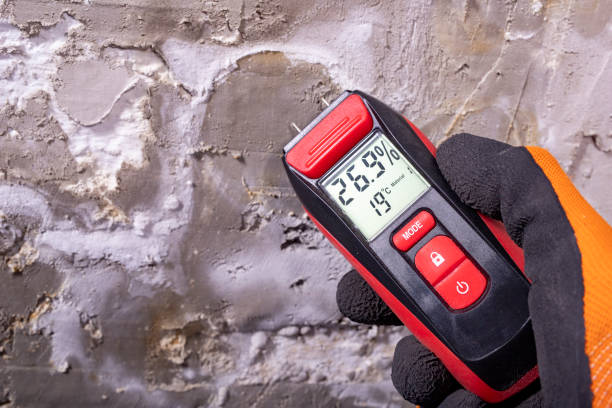 Best Attic Mold Remediation in Cambridge, IL